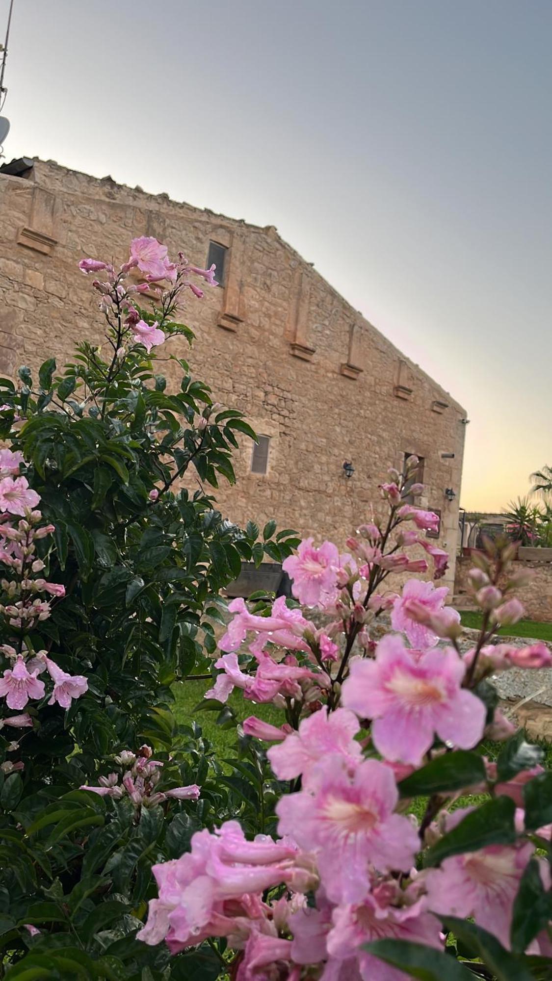 Masseria Boscorotondo シクリ エクステリア 写真